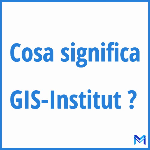 Cosa significa ”GIS-Institut” ?