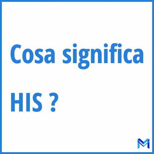 Cosa significa ”HIS” ?